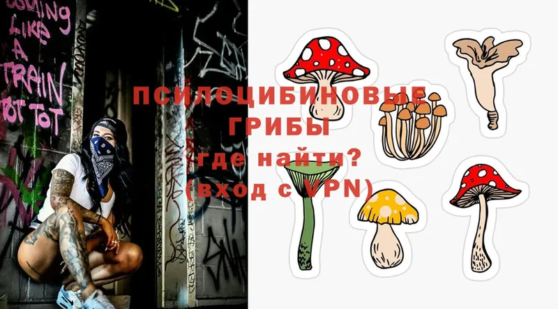 продажа наркотиков  Шарыпово  Псилоцибиновые грибы MAGIC MUSHROOMS 